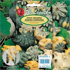 Attēlu rezultāti vaicājumam “Cucurbita pepo”