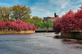 Image result for stamford cc