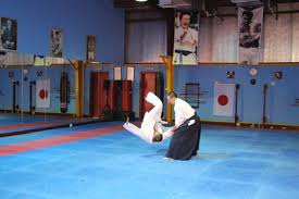 Image result for Durham City Aikikai