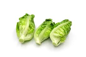 Image result for Römischer Salat