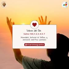 Image result for Salmo pellegrini