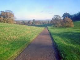 Image result for Dumbleton Cc