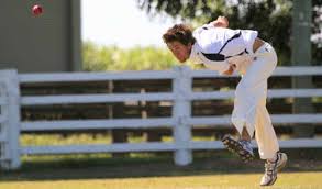 Image result for Chard Cricket Club