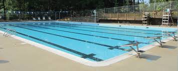 Image result for Fleetwood and District Swimming Club