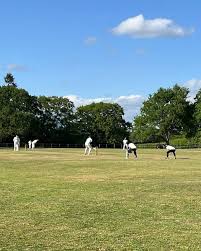 Image result for Lynchmere Cricket Club