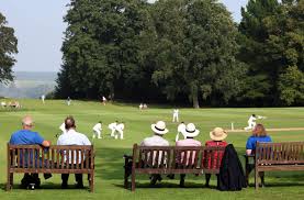 Image result for Antelope & Castle Cricket Club