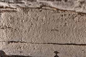 Attēlu rezultāti vaicājumam “Sidera lenis”