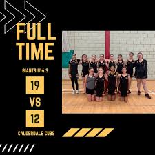 Image result for Huddersfield Giants Netball Club