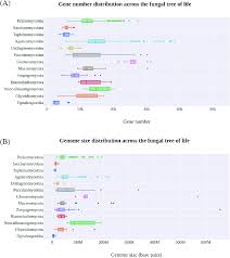 Image result for genome sizes
