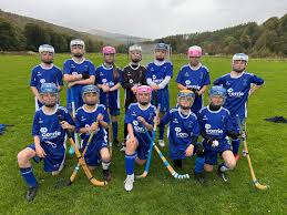 Image result for Kilmallie Shinty Club