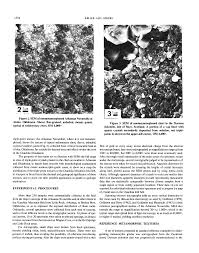 Image result for SEM micrographs of Novaculite Arkansas