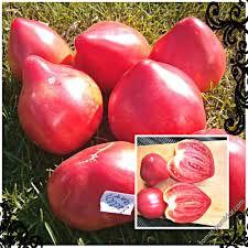 Afbeeldingsresultaat voor butter and bull heart tomato