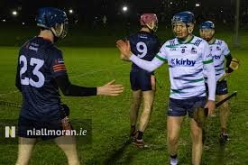 Image result for University Of Limerick Gaa Hurling Club