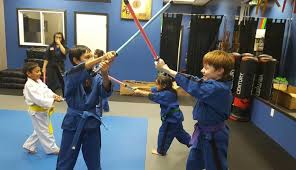 Image result for America's Best Karate
