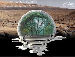 Image result for mars trees