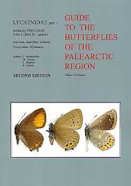 Attēlu rezultāti vaicājumam “Theclinae”