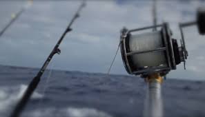 Image result for SHIRLEY SEA ANGLING CLUB