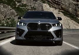 Image result for BMW X6