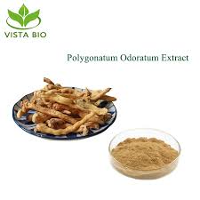 Attēlu rezultāti vaicājumam “Polygonatum odoratum fruit”