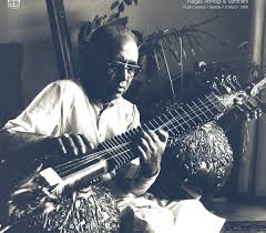 Attēlu rezultāti vaicājumam “Rabdophaga degeeri”