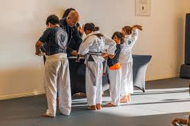 Image result for 210 JiuJitsu