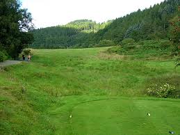 Image result for Aberfoyle Golf Club