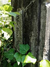 Image result for 笹瀬橋