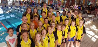Image result for Swindon Dolphins