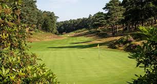 Image result for Hindhead Golf Club
