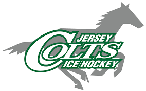 Image result for Hambro Colts Y F C