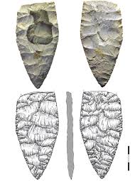 Image result for feuille-laurier-silex