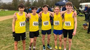 Image result for Bexhill Runners Ltd