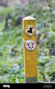 Image result for Ampthill and Flitwick Flyers