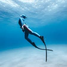 Image result for Blue Water Freediving School