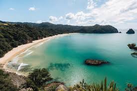 Image result for new chums beach