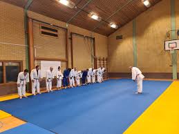 Image result for Southend Judo Club