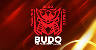 Image result for Budo Warrior Schools