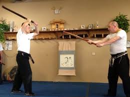 Image result for Bujinkan Dojo Seijitsu