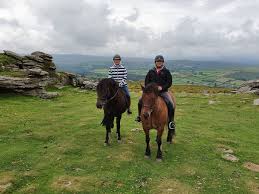 Image result for Porlock Vale Riding School