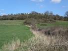 Vinegar hill lies on the lower slopes of Haresfield Beacon where the - via Daymix