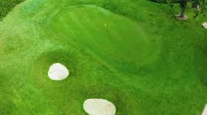 Image result for Downshire Golf Complex