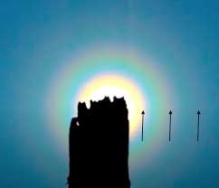 Attēlu rezultāti vaicājumam “pollen corona”