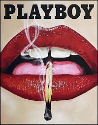 Image result for playboy