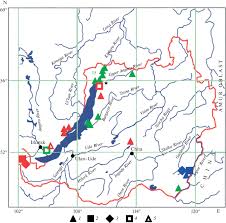 Attēlu rezultāti vaicājumam “Najas tenuissima”