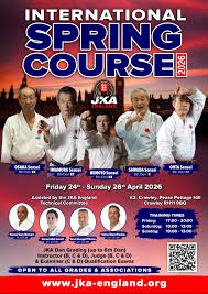 Image result for Ataru Shotokan Karate Club