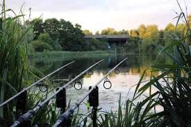 Image result for Orpington District Angling Association
