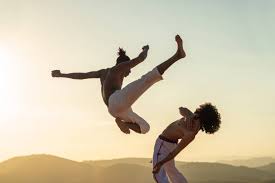 Image result for Brazilian-martial arts