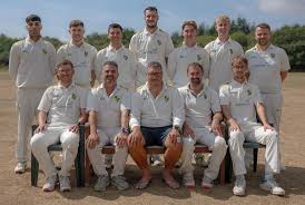 Image result for Bere Regis Cricket Club