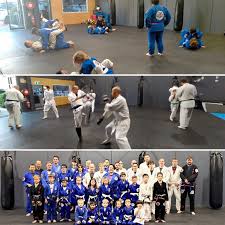 Image result for Bushido Academy Of Martial Arts (Bama)