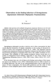 Attēlu rezultāti vaicājumam “Strongylosoma pallipes”